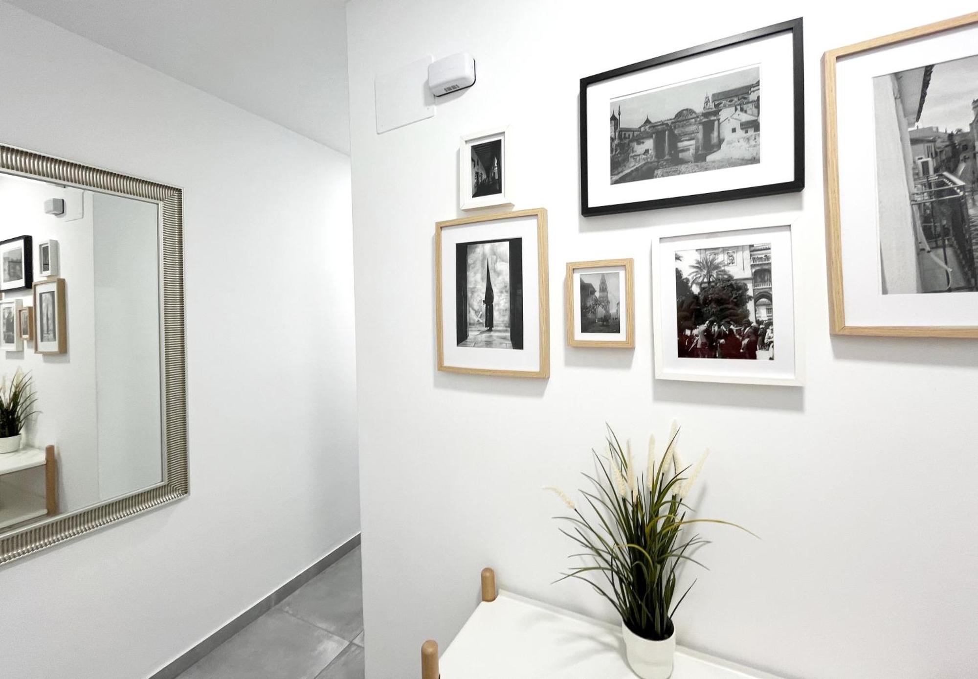 Mezquita Apartamento 科爾多瓦 外观 照片